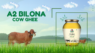 Why A2 Bilona Ghee is the Best Choice